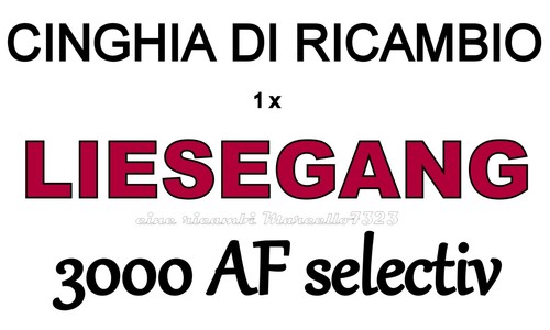 Cinghia ricambio 1 - ricambio,