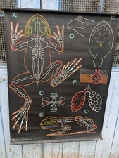 Manifesto Antica Scuola &