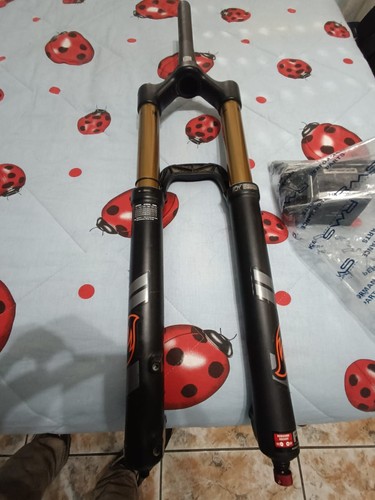 Fox kashima - , 36
