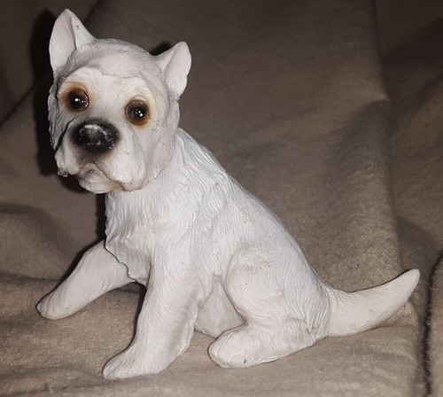 West highland terrier westie - highland,