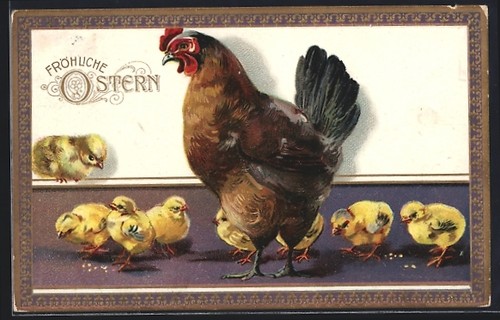 Cartolina gallina con una
