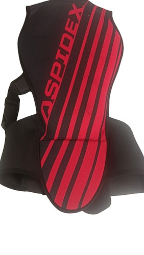 Paraschiena moto aspidex - moto,