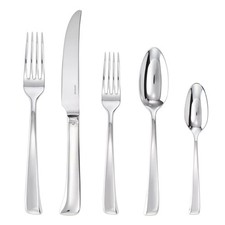 STAINLESS 5 PIECE PLACE