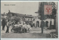 Como erba incino - como,