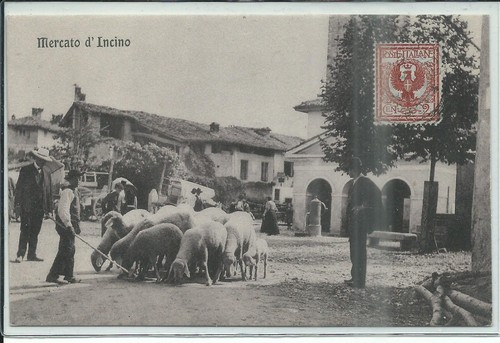 Como erba incino - como,