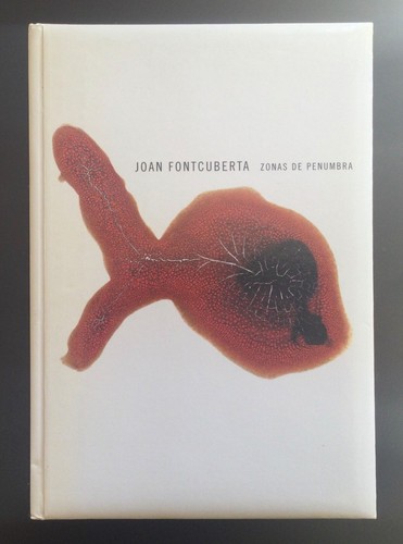 Joan fontcuberta zonas - fontcuberta,