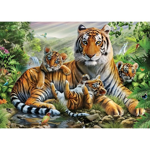 Daerle kit per - daerle, pittura