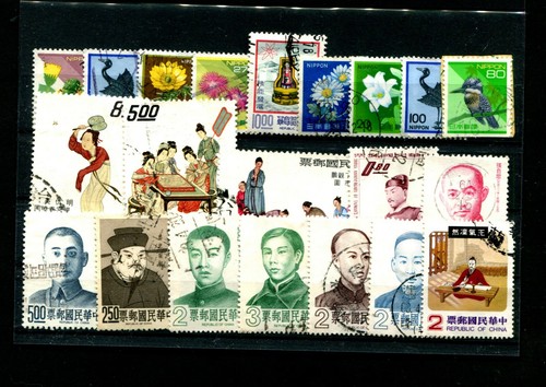 Asia scheda a innesto - scheda,