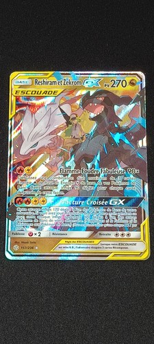 Reshiram zekrom 157 - et,