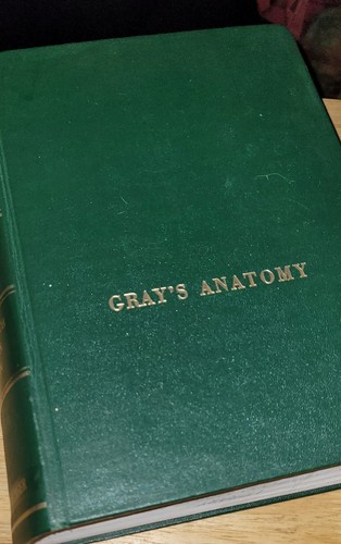 Gray anatomy the human - anatomy,