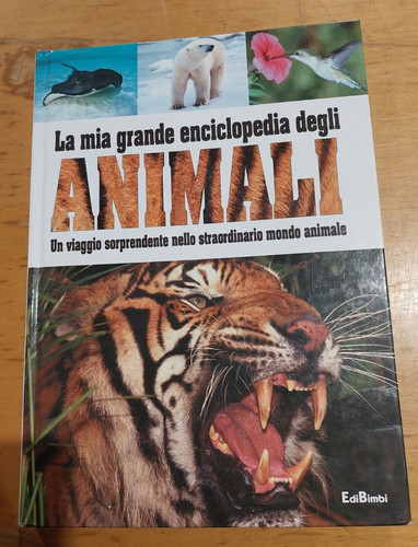 Libro mia grande - la,
