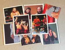 WWF WWE WCW Merlin 1991 BLU