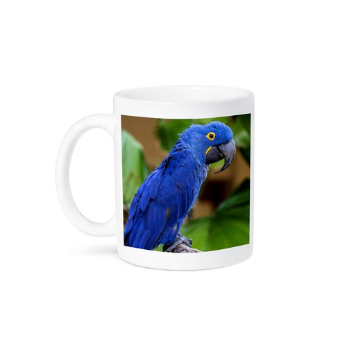 3drose hyacinth macaw mug - hyacinth, macaw.,