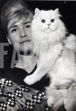 Foto vintage Francia, Un bel