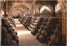 Cavas Codorniu - Cantina