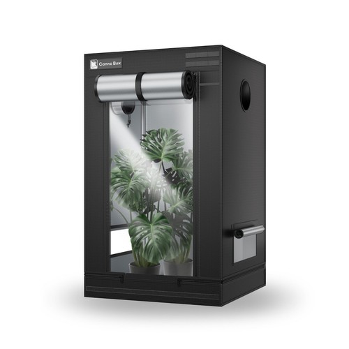 Cannobox tenda coltivazione - tenda, da