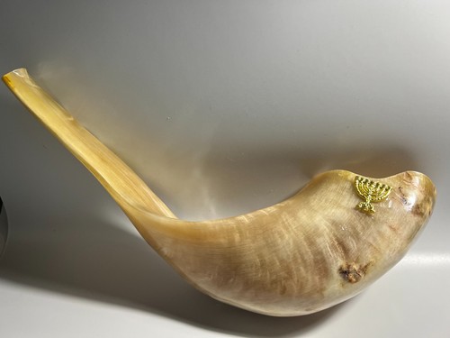 Shofar corno montone - in, di