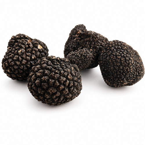 Tartufo scorzone fresco 100gr - tartufo,