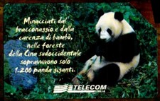 G 1413 C&C 3534 SCHEDA TELEFONICA USATA ANIMALI PER MODO DI DIRE PANDA