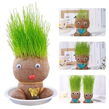  Pianta bambola testa erba in