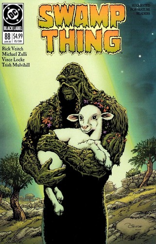 Swamp thing 1989 - swamp, dc