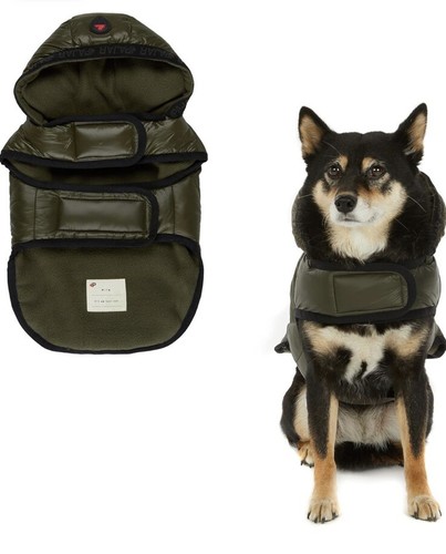 Pajar pup eddie parka - pajar, cani