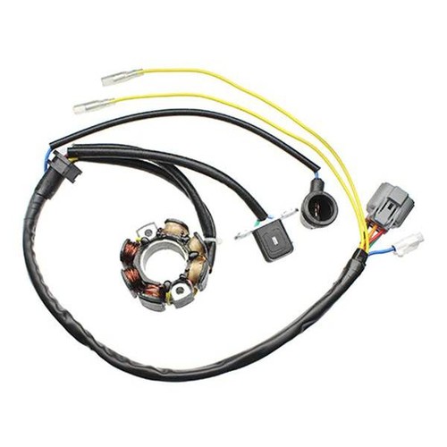 Statore electrosport kawasaki - statore,
