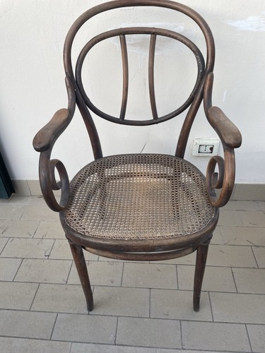 Poltrona faggio curvato - in,