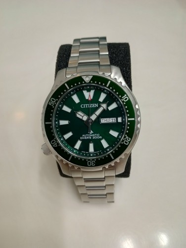 Citizen 0151 59x - citizen, professional
