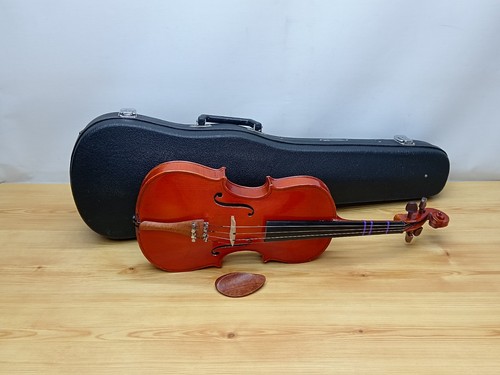 Violino vintage stentor - vintage,
