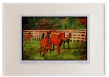 Horse 113024 arabian horses - horse,