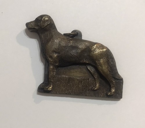 Medaglia esposizione cani