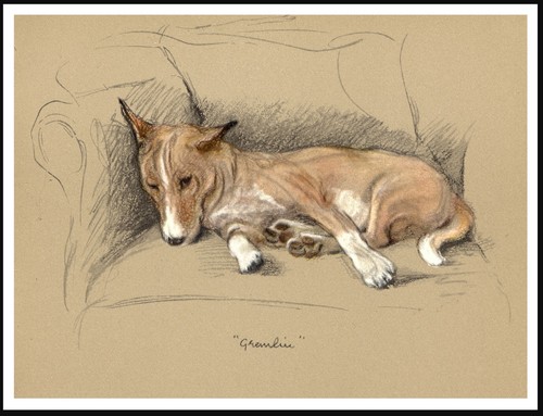 Basenji poster stampa - basenji,