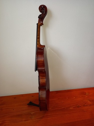 Violino antico anno 1906 - antico,