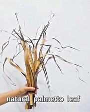 Foglie di palma secche