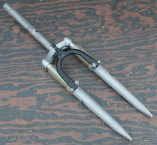 Forcella ammortizzatore futuro