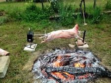 Barre per spiedo girarrosto fissaggio animale