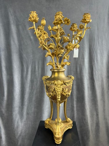 Candelabro papavero francese