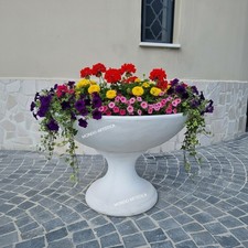 Ciotola Per Piante E Fiori