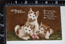Cartolina vintage auguri - cartolina, di