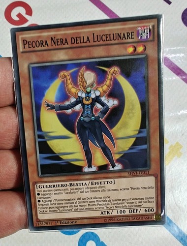 Pecora nera della lucelunare - pecora,