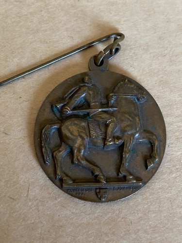 Medaglia commemorativa adunata - medaglia,
