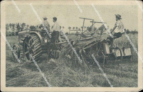 Be481 cartolina fiat trattrice - be481,