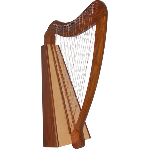 Corde arpa qualità - corde,