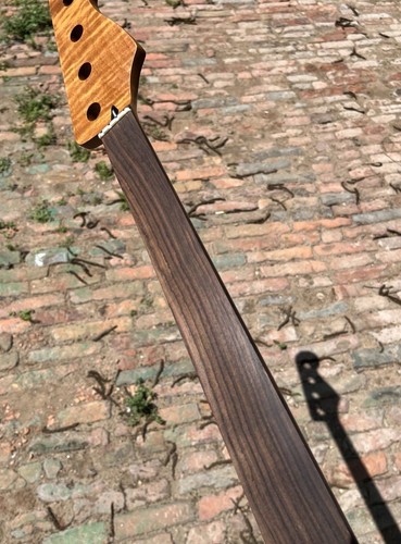 Manico basso chitarra corde - manico,