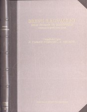 Breve raguaglio degl' incendi di Mongibello. avvenuti in quest' anno 1669. D. To