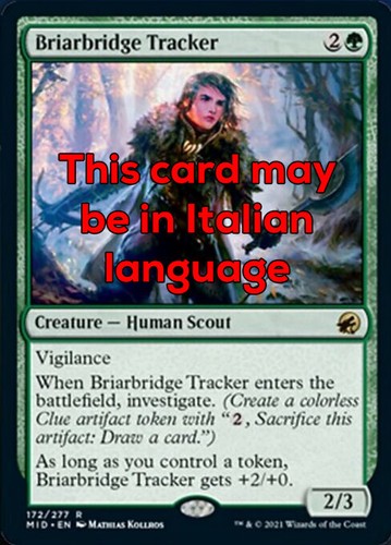 Mtg briarbridge tracker foil - briarbridge,