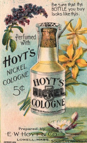 Fiori bottiglia hoyt - fiori, &