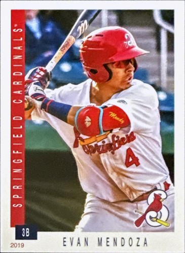 Tribuna springfield cardinals - tribuna,
