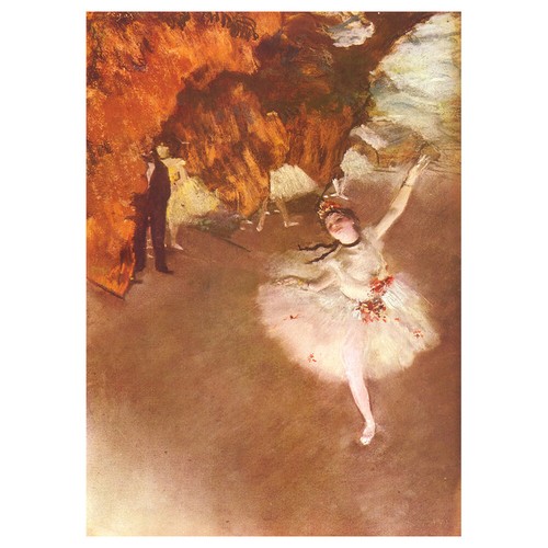 Stampa tela ballerina - -,